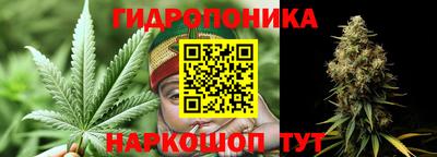 шишки Сланцы