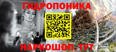 шишки Сланцы